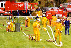 Field day