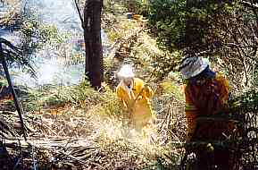 McIntyre's Hut fire