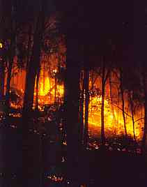 backburn